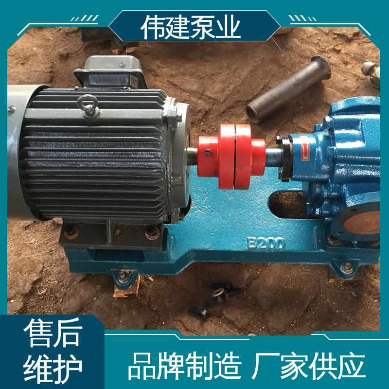 电动齿轮泵 煤焦油稠油用 规格齐全 无堵塞耐高温 伟建生产
