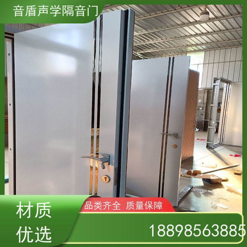 音盾科技 钢质木纹 防火隔音门 值得信赖 大型定制工厂