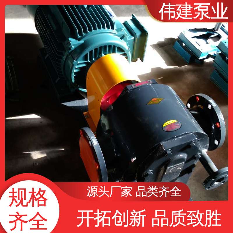伟建生产 容积式转轮泵 性能稳定 自来水污水处理 316L材质