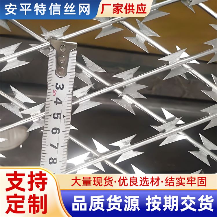 特信网业 不锈钢刺丝滚笼 厂家供应 防盗刺网围栏