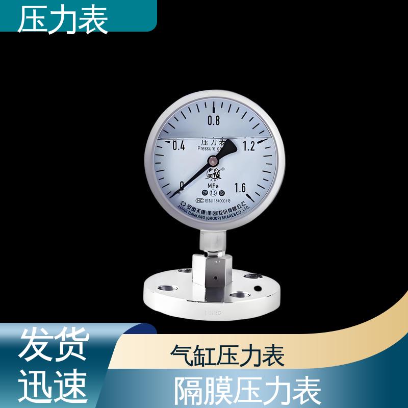天康 Y-B 系列 精密压力表 安装便捷 维护简单 实力厂家 支持定制