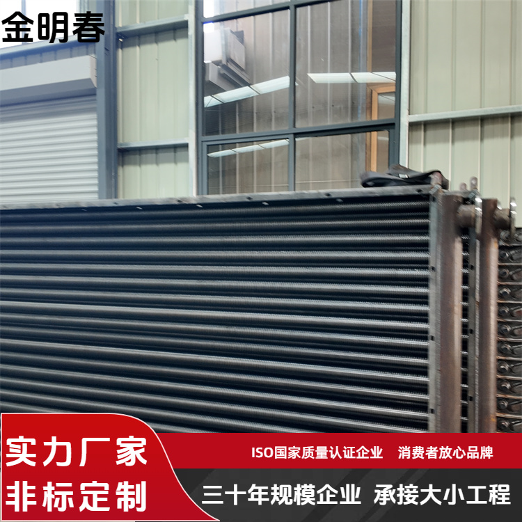 金明春 厂家 锅炉节能器余热回收设备 承压强不易损坏 支持定制
