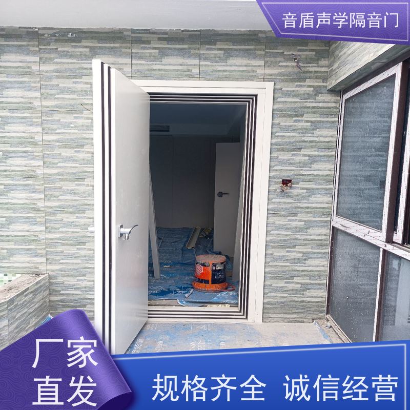 音盾科技 防盗 防火隔声门 值得信赖 定制生产厂家