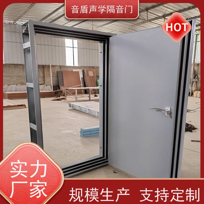 音盾科技 钢琴房 防火隔音门 品质保证 工厂批发