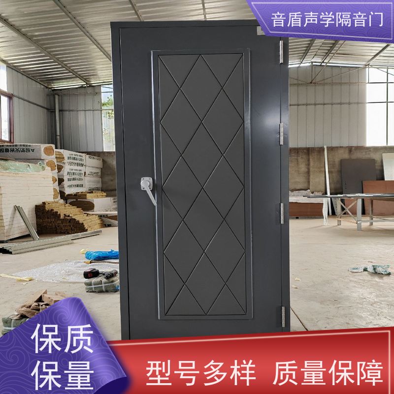音盾科技 家庭影院 静音门 品质保证 非标定制生产