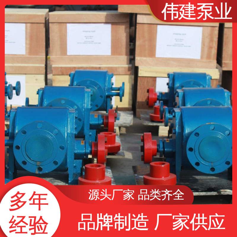 伟建生产 支持定制 容积式转轮泵 高温蒸汽 无泄漏船用