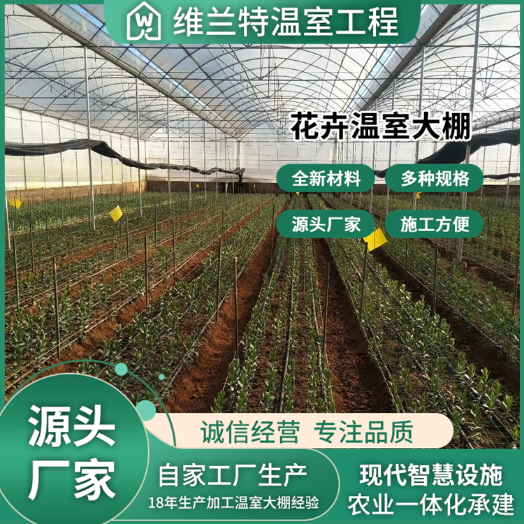 图6