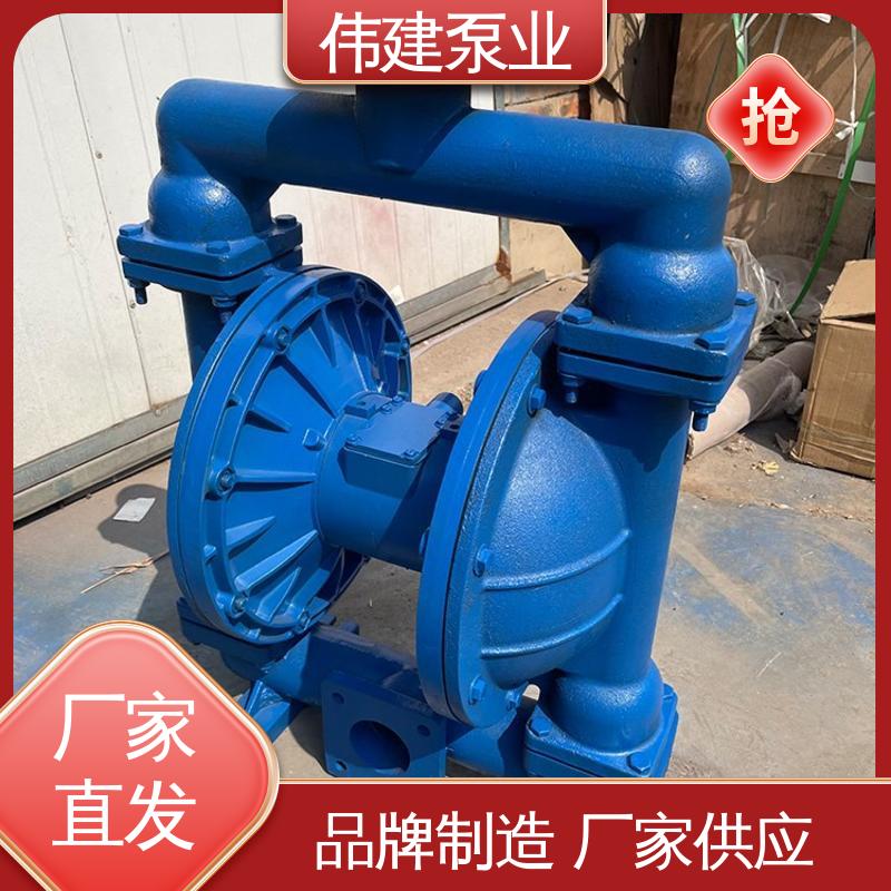 耐酸碱耐腐蚀 LC50皮带轮罗茨泵 支持定制 伟建生产