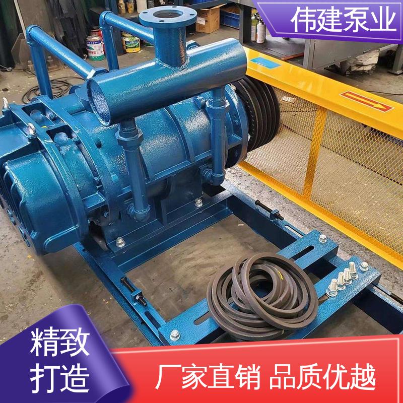 伟建供应 无泄漏效率高 支持定制 糖蜜糖浆卸车用 高粘度罗茨泵
