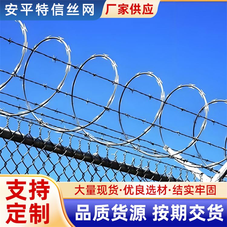 特信网业 不锈钢刺丝滚笼 质量优良 围墙刀片刺绳防护网
