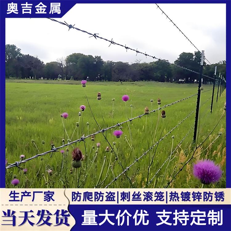 奥吉金属 野外铁蒺藜 现货充足 防盗带刺铁丝网