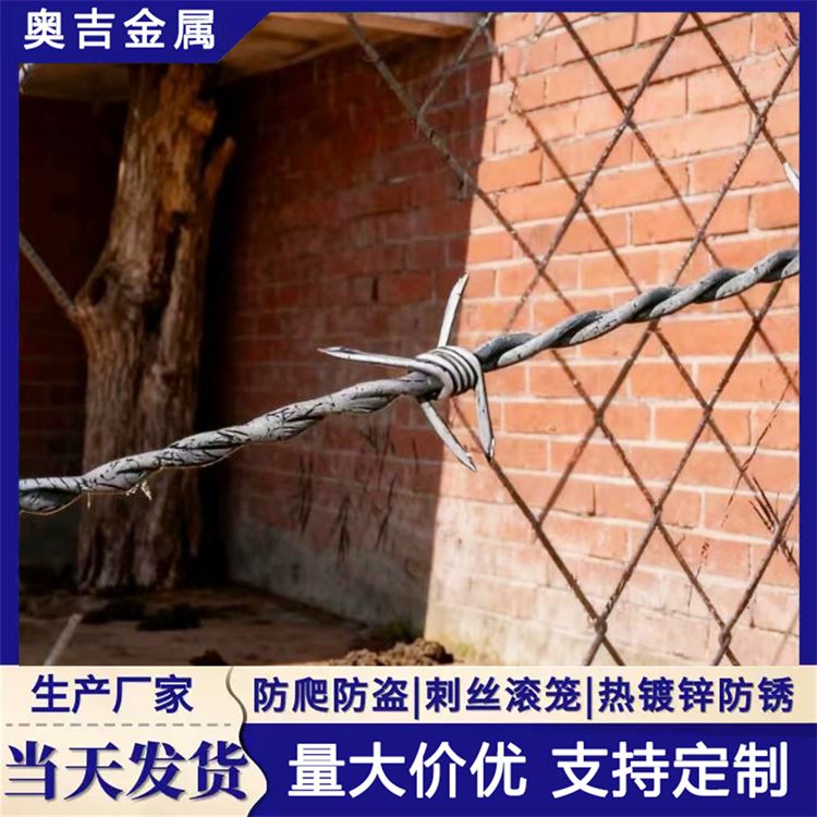 瑞朔丝网 防盗铁丝刺藤 经久耐用 围墙刺丝滚笼
