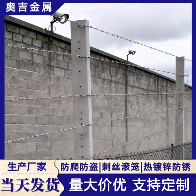 奥吉金属 铁蒺藜防护网 厂家供应 防盗带刺铁丝网
