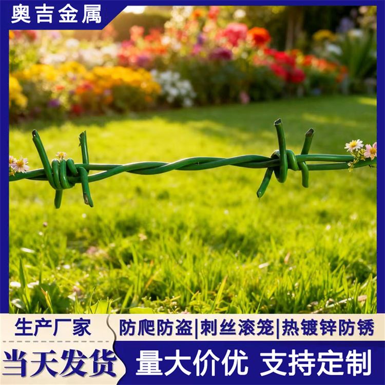 奥吉金属 防盗带刺铁丝网 冷镀锌刺绳 多年经验