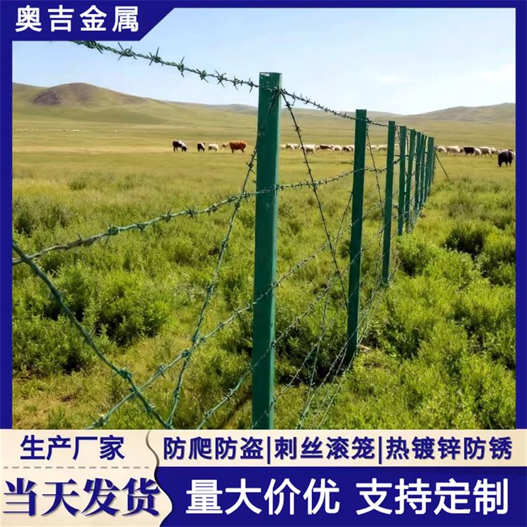 奥吉金属 铁蒺藜防护网 做工细致 防盗带刺铁丝网