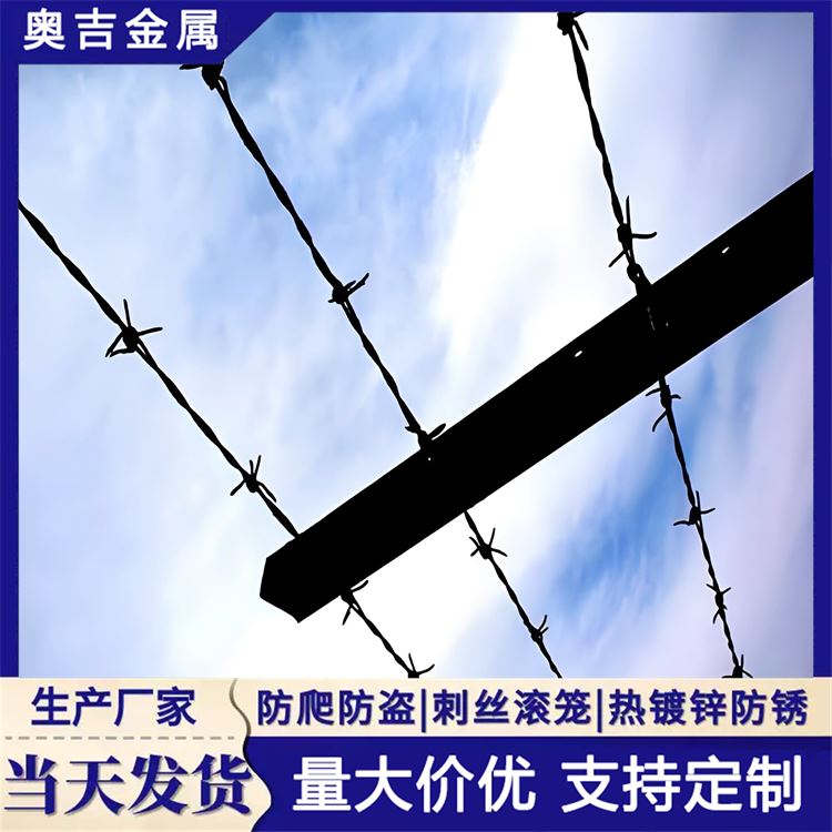 瑞朔金属 铁蒺藜围栏 防盗带刺铁丝网 厂家直发