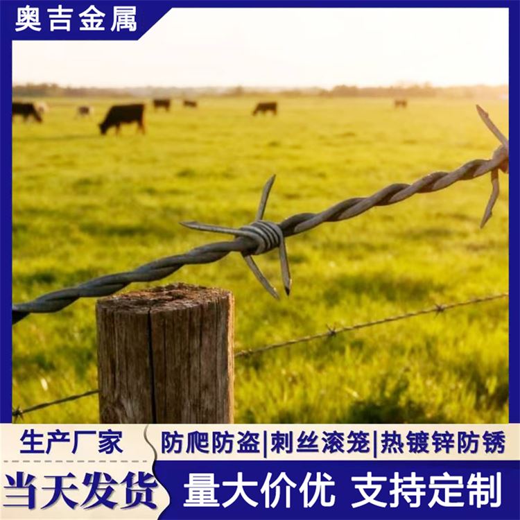 瑞朔金属 围栏防护栏 防盗带刺铁丝网 支持定制