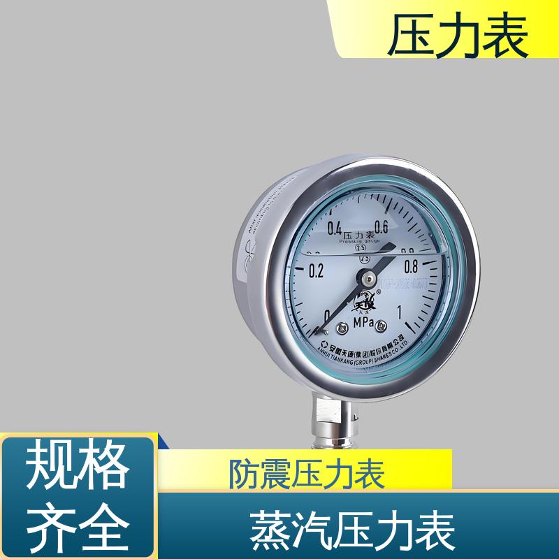 天康 Y-B 系列 抗震压力表 经济性佳 类型多样 实力厂家 支持定制