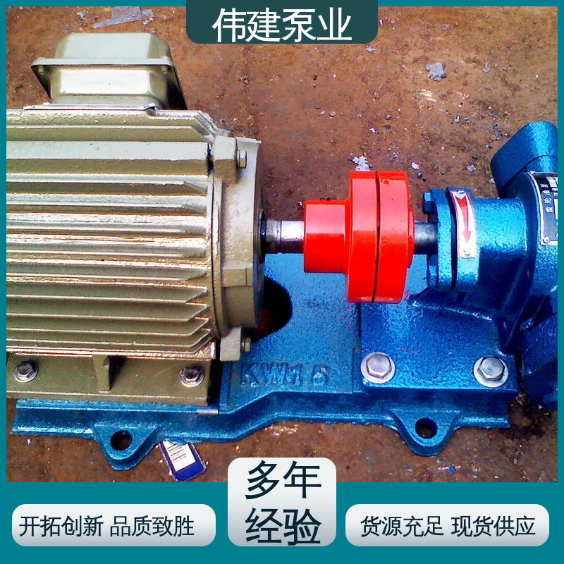 伟建供应 流量大扬程高 废机油输送用 无泄漏效率高 不锈钢齿轮泵