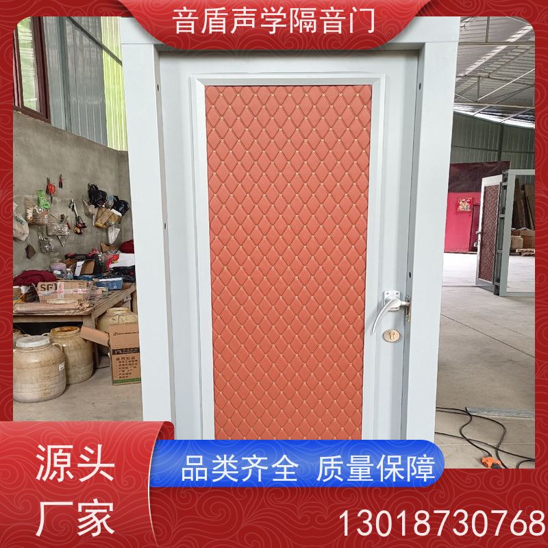 音盾科技 家庭影院 隔声门 值得信赖 生产批发厂家