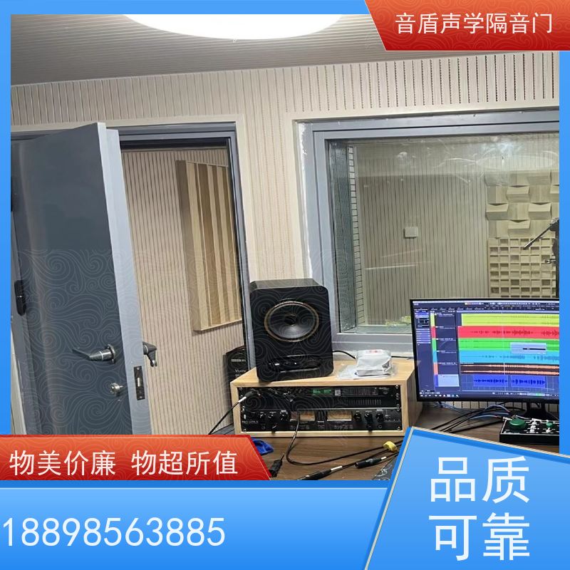 音盾科技 影音室 隔音门 品质保证 大型定制工厂
