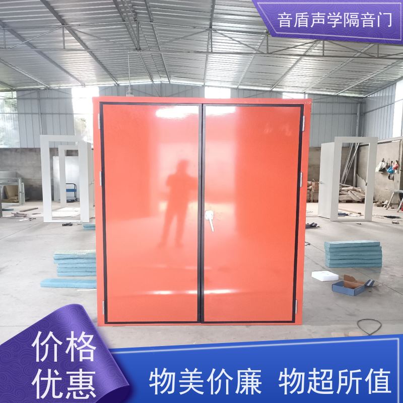 音盾科技 钢质木纹 隔音门 值得信赖 生产批发厂家