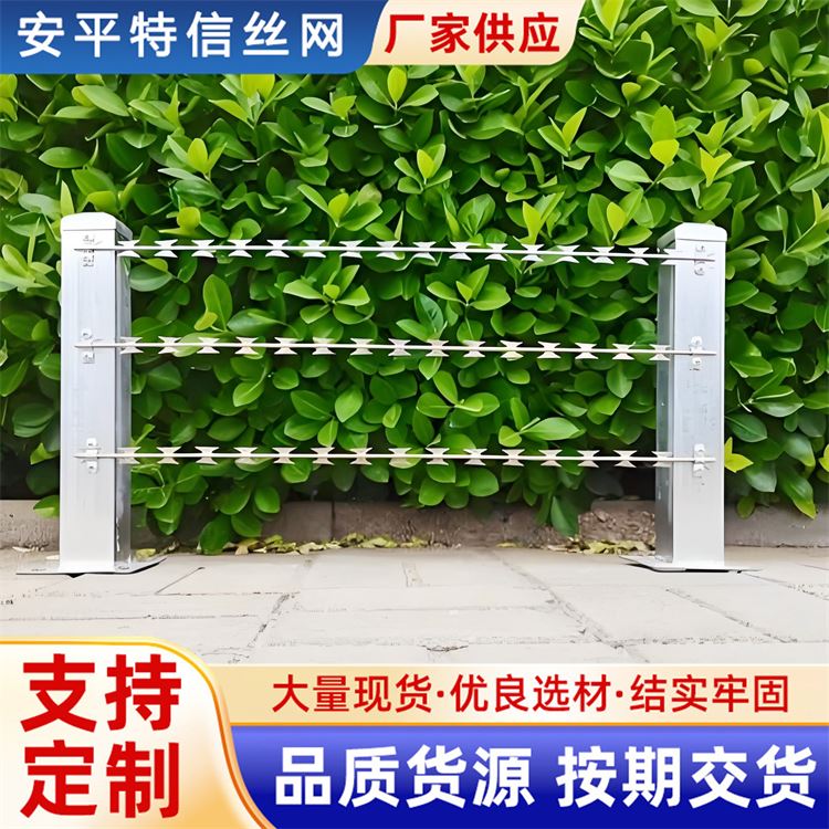 特信 不锈钢刺丝滚笼 发货迅速 围墙刀片刺绳防护网