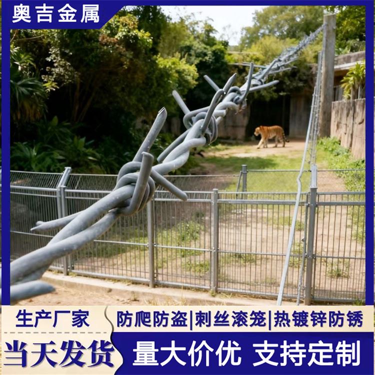 奥吉金属 防盗带刺铁丝网 pvc包塑刺绳 厂家批发