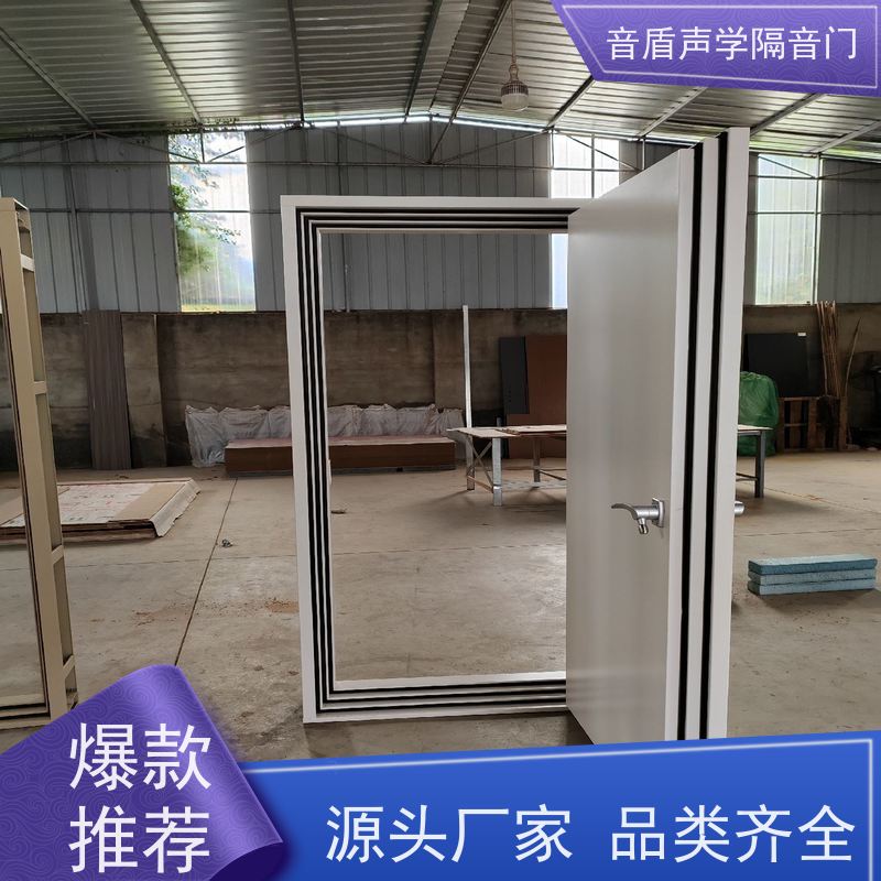 音盾科技 直播间 防火隔音门 实业 非标定制生产