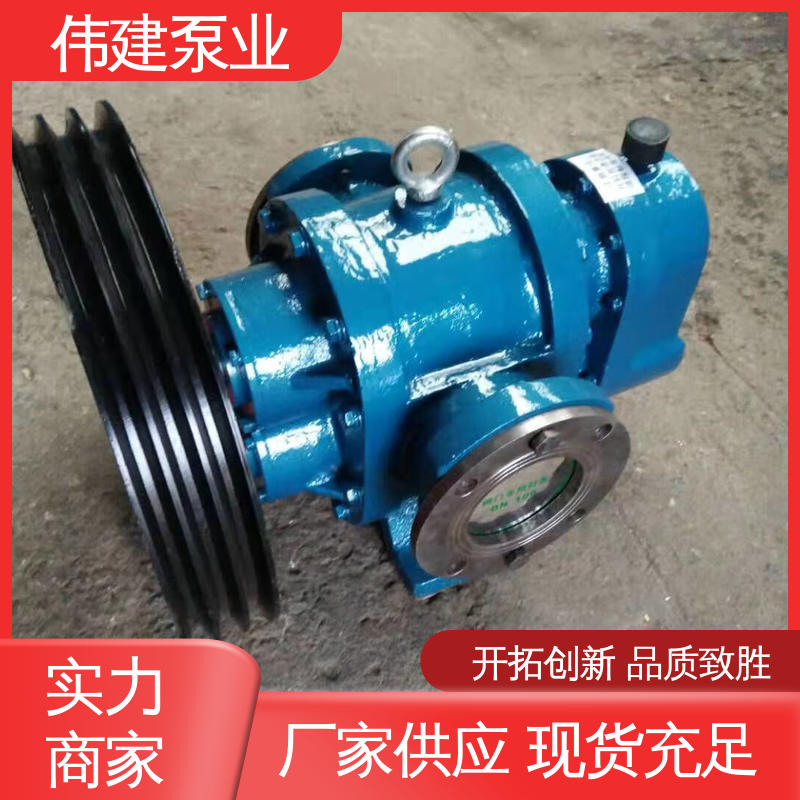 橡胶树脂输送用 高粘度罗茨泵 噪音小体积小 支持定制 伟建供应
