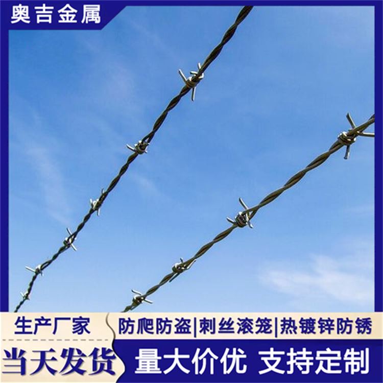 瑞朔丝网 刺铁丝隔离网 铁蒺藜防护网 质量放心