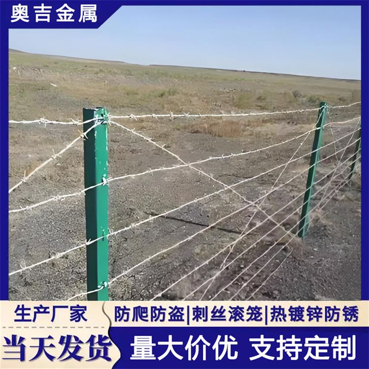 奥吉丝网 铁蒺藜防护网 高铁刺丝滚笼 质量可靠