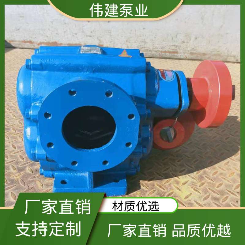 伟建生产 不锈钢齿轮泵 无泄漏效率高 流量大扬程高 豆浆豆渣用