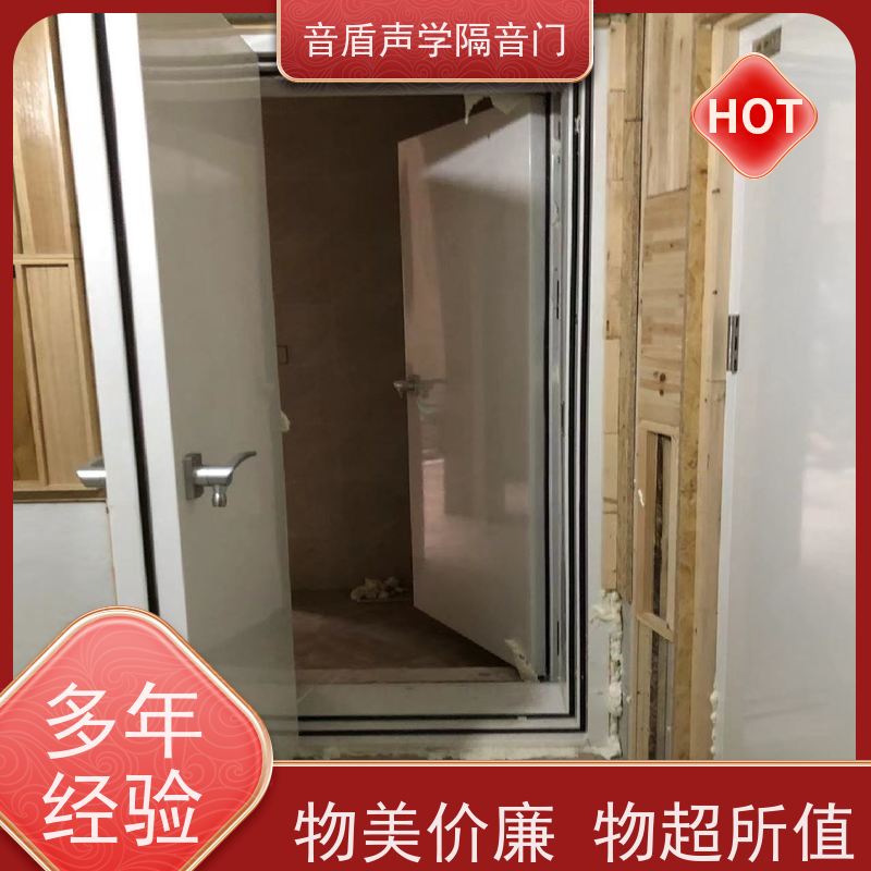 音盾科技 音乐教室 隔声门 品质保证 非标定制生产