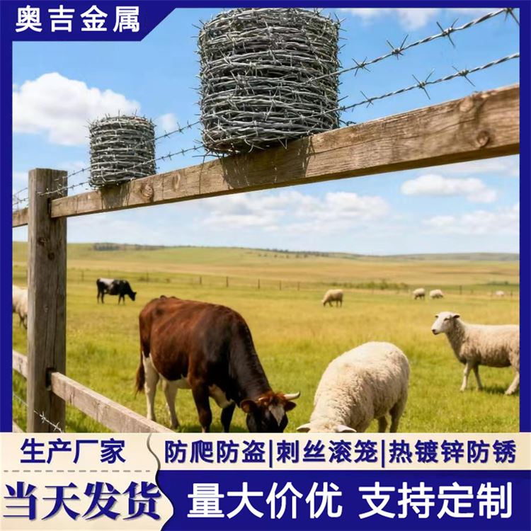 瑞朔金属 冷镀锌刺绳 货源充足 防盗带刺铁丝网