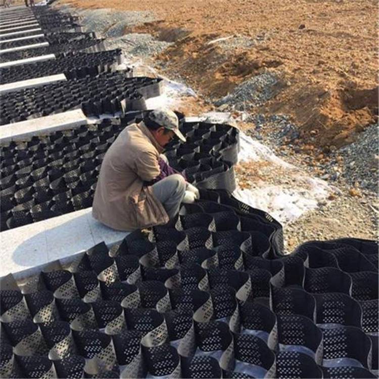 彦华 承受载重力的堤防及浅水河道治理 蜂巢格室 联接方便