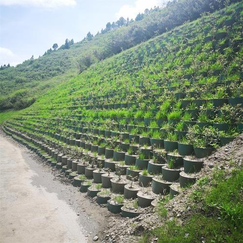 彦华 承受载重力的堤防及浅水河道治理 蜂巢格室 伸缩自如