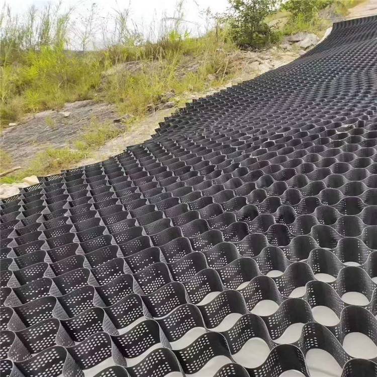 彦华 承受载重力的堤防及浅水河道治理 蜂巢格室 耐久性能好