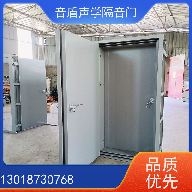 音盾科技 培训室 防火隔音门 品质保证 款式齐全