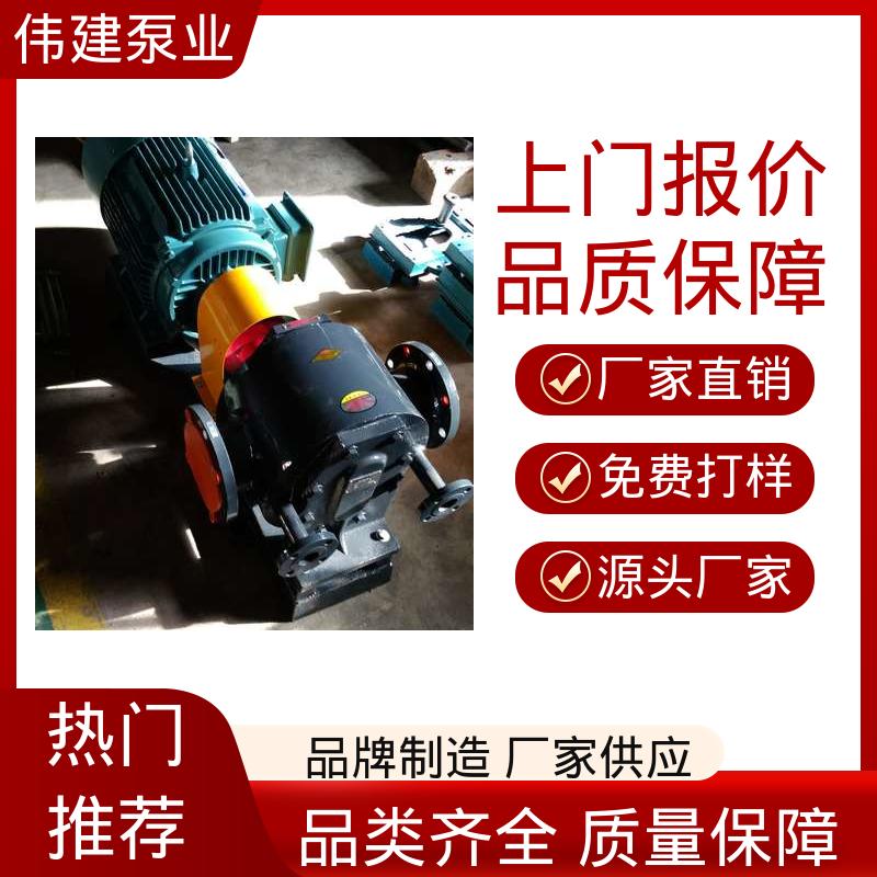 容积式转轮泵 支持定制 自来水污水处理 伟建生产