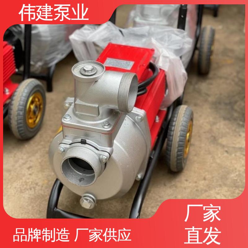 LC50皮带轮罗茨泵 涂料油漆输送用 支持定制 伟建供应