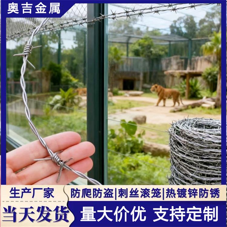 瑞朔金属 铁蒺藜防护网 质量放心 防盗铁丝刺藤