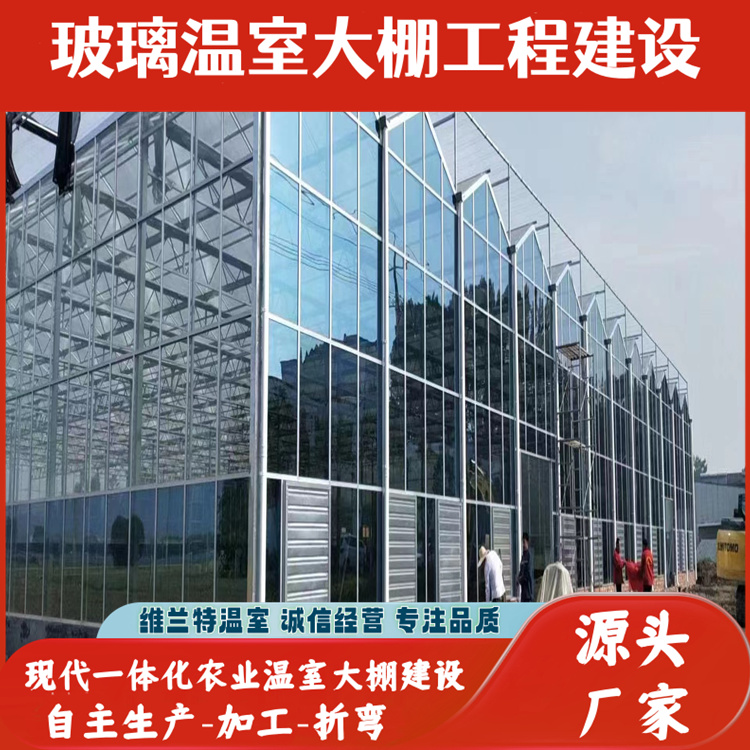 图6