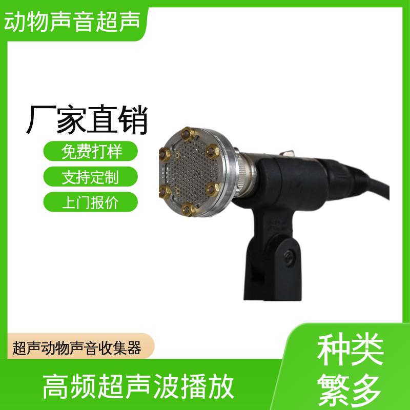 德国Avisoft 动物声音超声播放器 85x35 x190 mm 厂家供应 现货充足