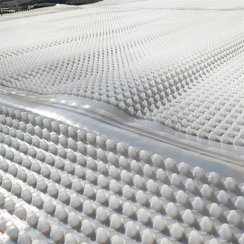 HDPE塑料排水板 车库屋顶绿化凹凸滤水板 地下室疏水板