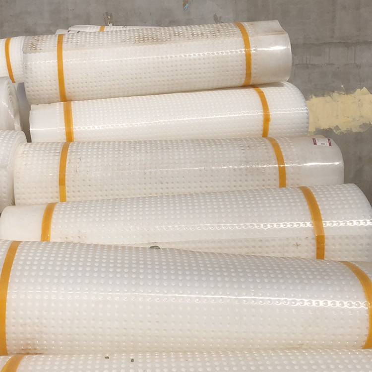 塑料排水板 HDPE凹凸滤水板 疏水板 按需定制 坚固耐用 现货现发 可定制