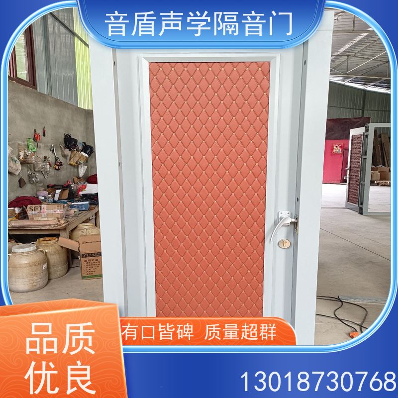 音盾 音乐教室 防火隔音门 值得信赖 非标定制生产