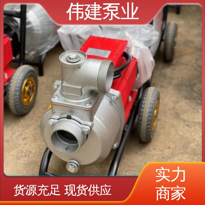 运行可靠 润滑油脂沥青输送 罗茨油泵 规格齐全 伟建供应