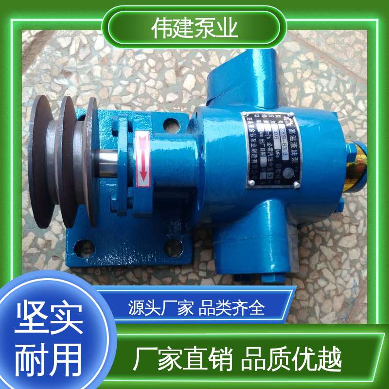 伟建供应 机油柴油液运输用 高流量 渣油泵 支持定制