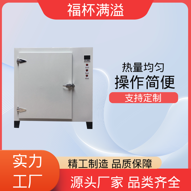 电加恒温鼓风干燥箱 试验烘箱 持久耐用 福杯满溢